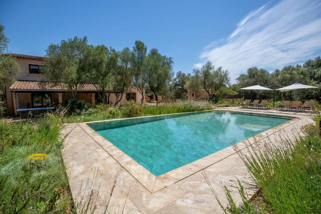 Dom wakacyjny Costitx - 39376 Mallorca