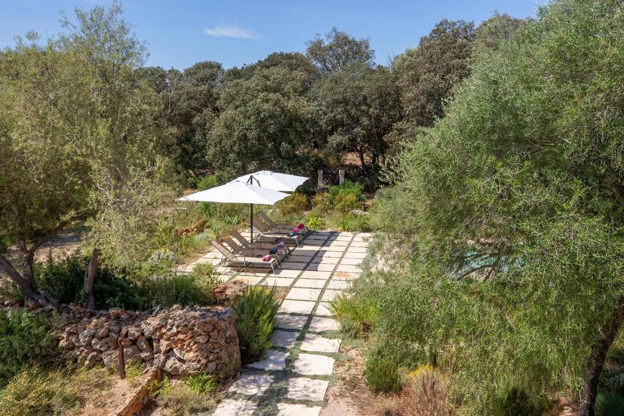 Dom wakacyjny Costitx - 39376 Mallorca Hiszpania
